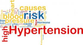 第十三届中国心脑医学大会