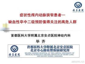 2013北京安贞脑血管病论坛