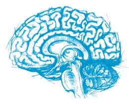 2019年国际卒中大会