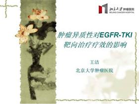 第二届国际呼吸内镜诊疗大会