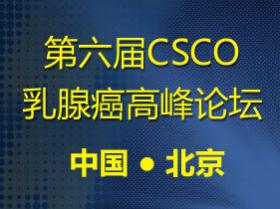 第6届CSCO乳腺癌高峰论坛