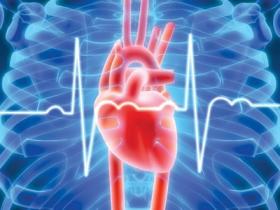 2015中国心脏大会