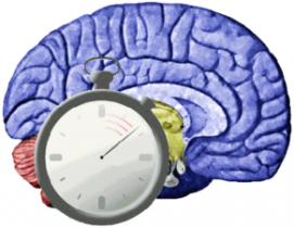 2015年国际卒中大会（ISC2015）