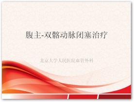 2012年第二届北大血管论坛