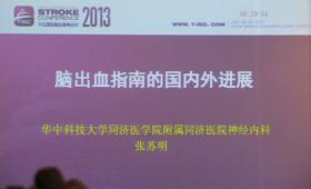 2013天坛国际脑血管病会议