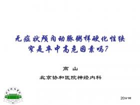 2013天坛国际脑血管病会议