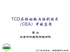 2013天坛国际脑血管病会议