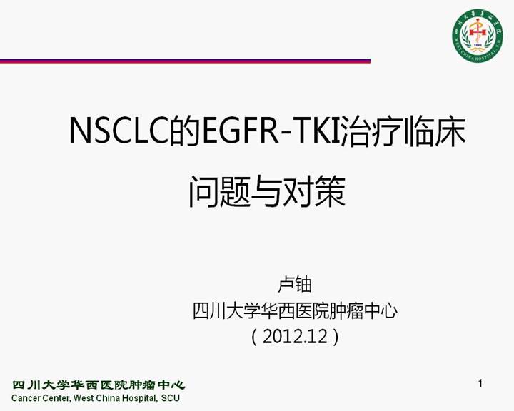 第二届国际呼吸内镜诊疗大会