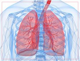 2013年第38届欧洲临床肿瘤协会年会