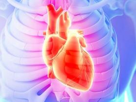 2014欧洲心脏病学会年会（ESC2014）