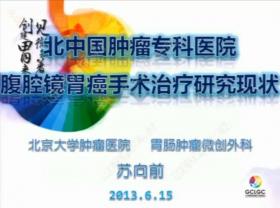 第八届全国胃癌学术会议暨首届阳光长城肿瘤学术会议 