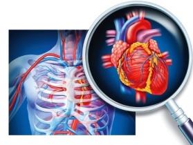 第十届心血管医师规范化培训班暨中国全科医师心血管疾病培训2014