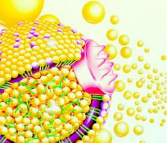 2014年美国心脏协会年会（AHA2014）