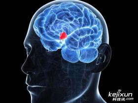 2015年中华医学会第十四次全国内分泌学学术会议（CSE2015）