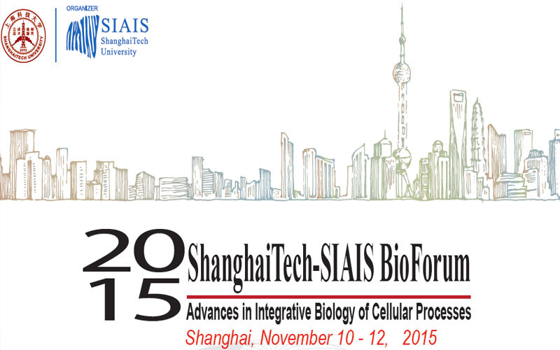 1446192075155319.jpg 1010 (1).jpg